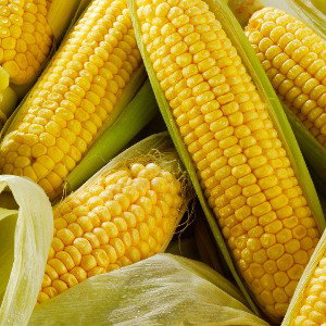  It's Corn ft JaspieRaps