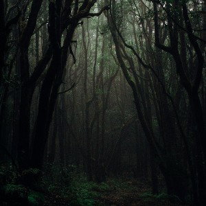 Lost