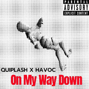 On My Way Down (Feat. HAVOC)