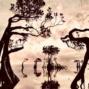 Asteroid_moon_lake_dance