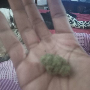 da goof ballz I address pt2
