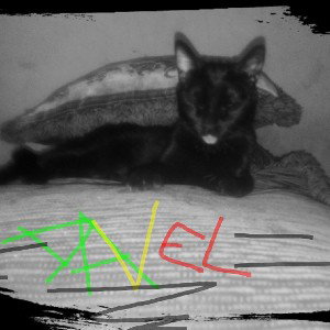 Real Davel Cada Vez Se Nota Mas DAVELANDIA)