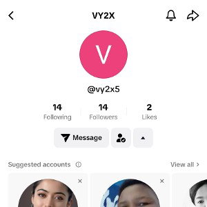 #vy2xlowTikTokfollowers