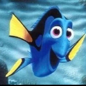 dory