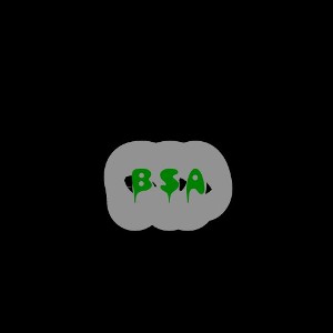 BSA 🏳️🏴🚶🏿‍♂️