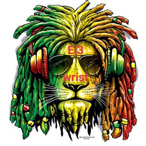Ej3 - Wrist 