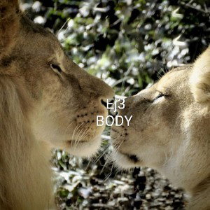 Ej3 - Body