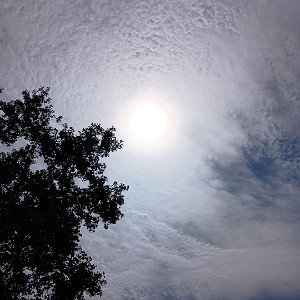 Phillie Blunt - Glory,Glory