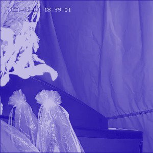 No love 2024 2024 (Slowed + Reverb)