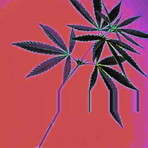 Driving high by wayne moyers - 03Apr 1-16 PM