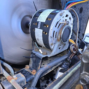 Fan motor 