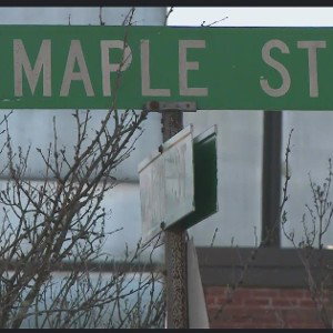 Quaalo El Maple 