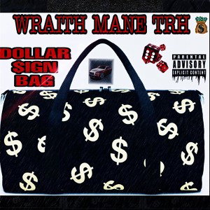 DOLLAR $IGN BAG 