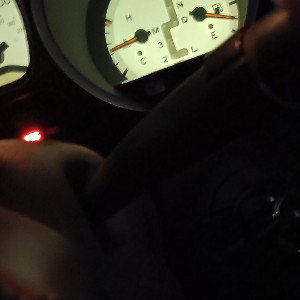 speed seed ot.1