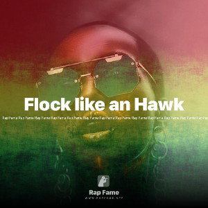 Flock like an Hawk