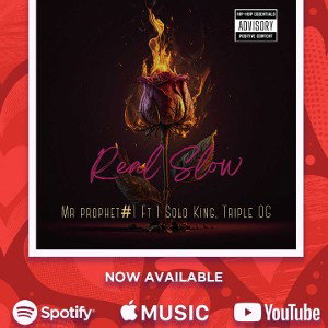 Mr Prophet#1 - Real Slow Mr prophet#1 2023-12-15 14_03