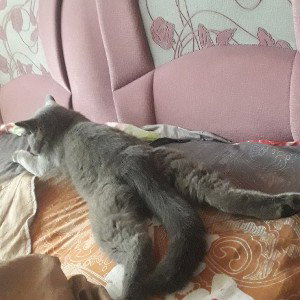 а я ,,,,бу что за трэк.