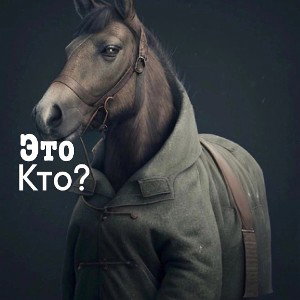 о том о сём