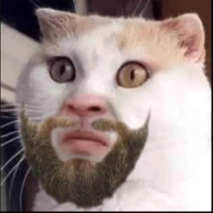 Ты самый богатый человек? 
