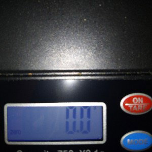 put weight on it 