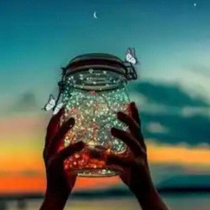 good night 