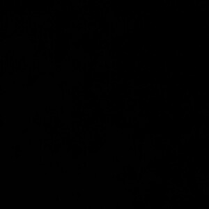 BLACK OUT
