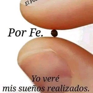 ESTOP al diablo 
