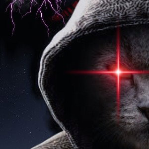 Da cat518