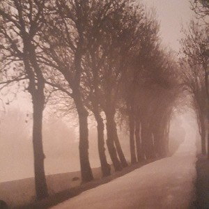 Lonely Road