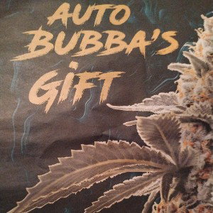  AUTO BUBBAS GIFT