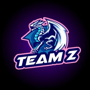  TEAMZ
