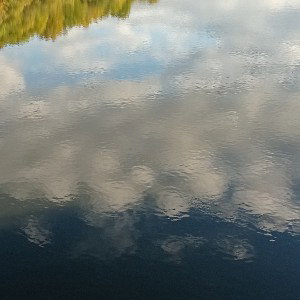 Tränen