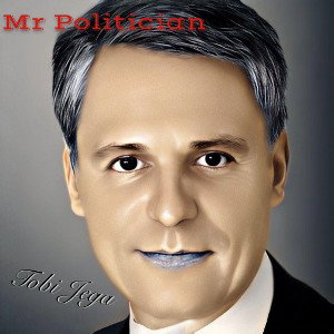Mr Politician