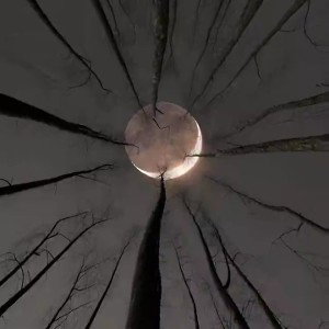 realidad oscura