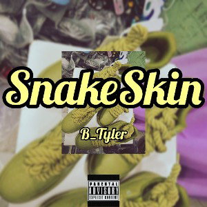 SnakeSkin__(freestyle)-(256k)
