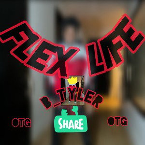 B_Tyler_-_Flex Life__official_audio_
