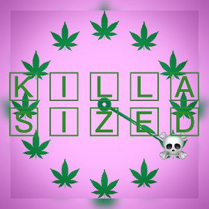 KILLAKILLA VANDALS TEAM