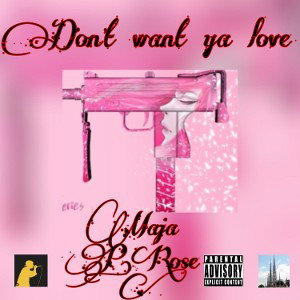Don't want ya love 
