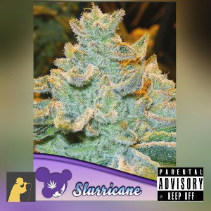 Rosey Da Athena~ Slurricane 