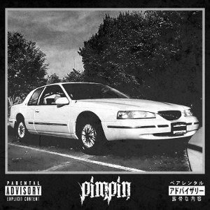 PIMPIN