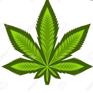 my 3rd track