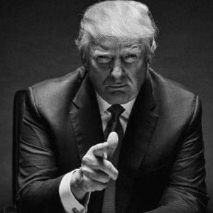 🇺🇸NEVER TOO LATE MAKE AMERICA GREAT 🇺🇸