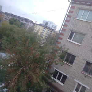 зомби апокалипсис
