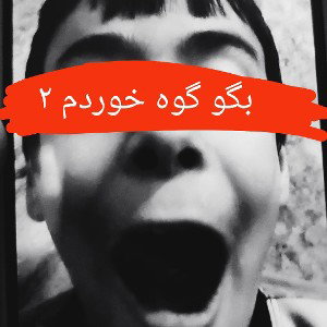 بگو گوه خوردم ۲