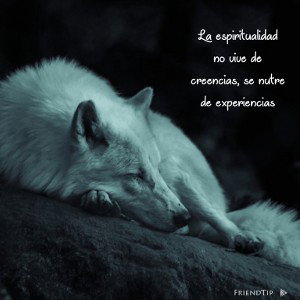 el amor duele y eso lo se