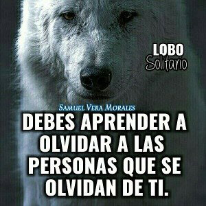 cuando no pueden contigo y tú lucha hasta morir
