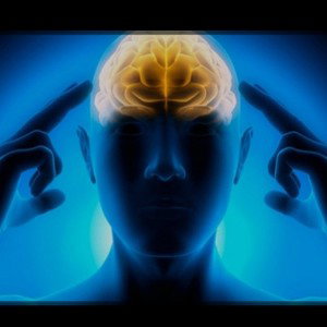 Cultivando mentes