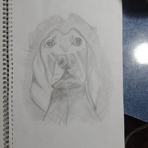 Rai