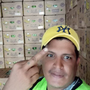 Crostin activo 
