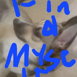 find myself